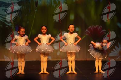 SHOW_00366.jpg